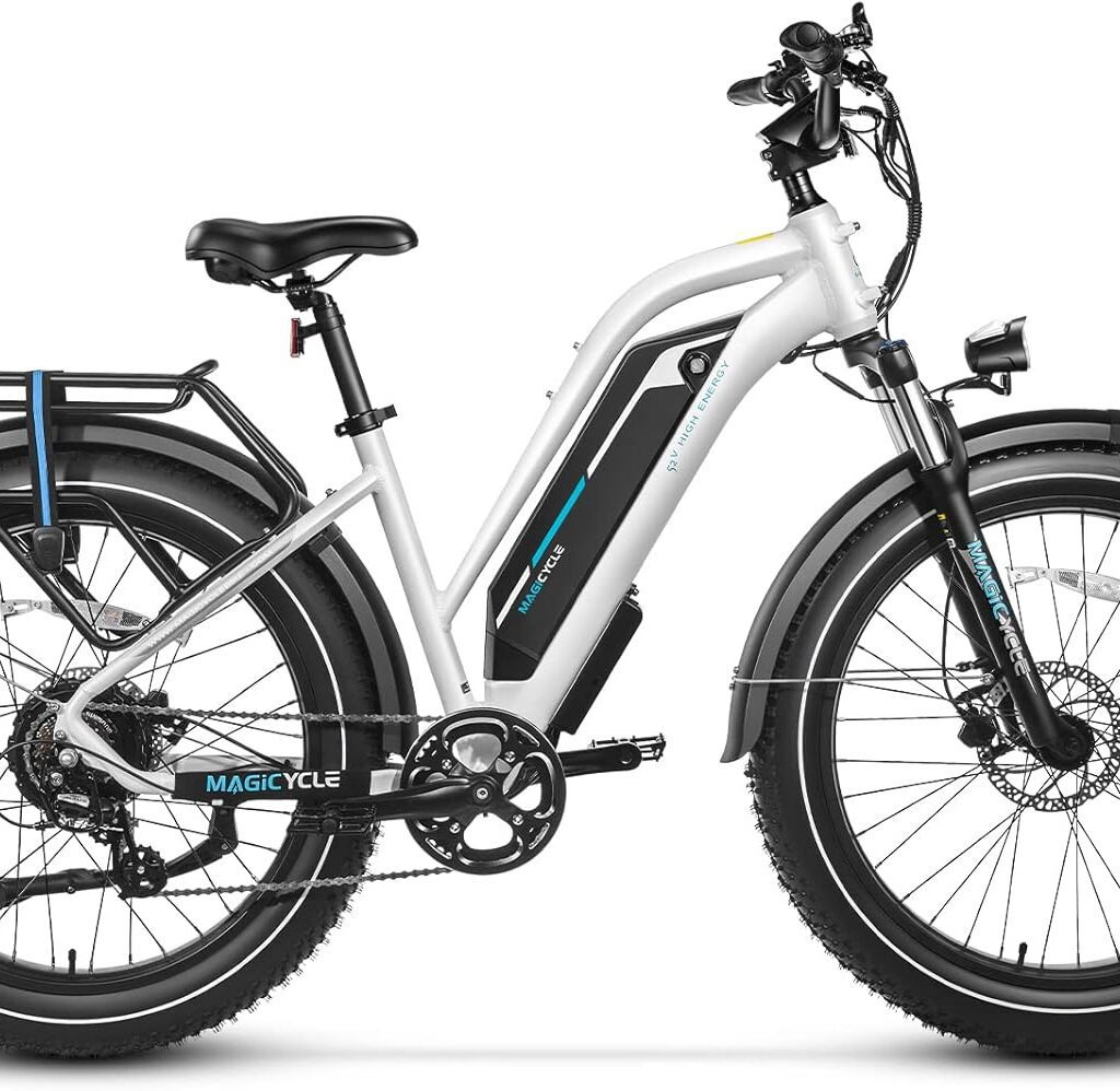 Adult electric bikes