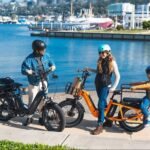 cargo electric bike