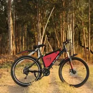 Electric Cruiser Bikes