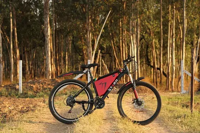 Electric Cruiser Bikes