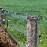 Electric Fence Wire