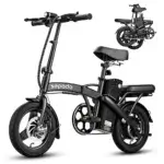 Electric Folding Bike