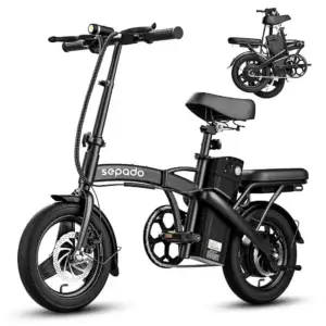 Electric Folding Bike