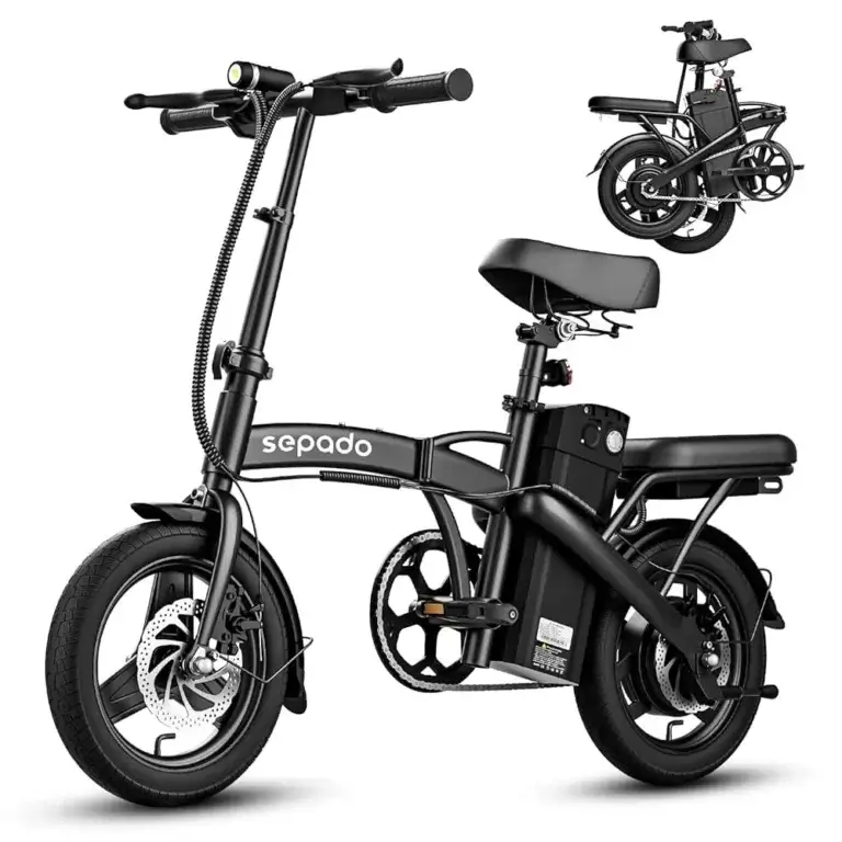 Electric Folding Bike