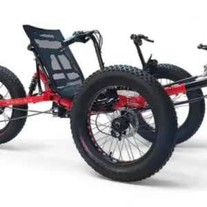 Electric Recumbent Bike