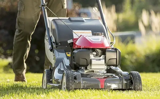 Electric Reel Mower