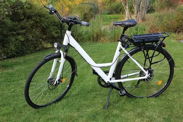 Electric Commuter Bike