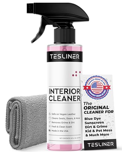 Featured image for The 5 Best Tesla Seat Cleaners to Keep Your Car Pristine