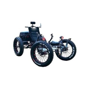 Featured image for The 5 Best 4 Wheel Electric Bikes for Seniors in 2025